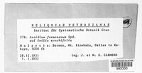 Image Associated With the Occurence